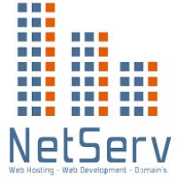 NetServ Solutions logo - Similar company to Netserv Applications, Inc.