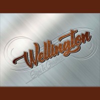 Wellington Signs & Graphics Los Angeles | Orange County logo - Similar company to West Of 5 Studios