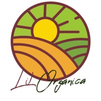 Lil Organica logo - Similar company to Levanv