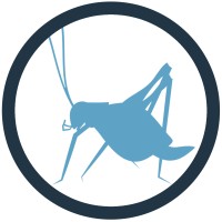 Blue Cricket Media