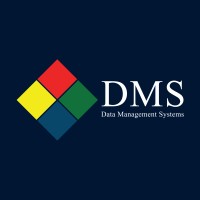 DMS Egypt logo - Similar company to Tds Information Technology
