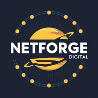 NetForge Digital logo - Similar company to Fiscal Fluency