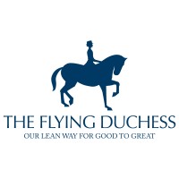 THE    FLYING    DUCHESS logo - Similar company to Dsk Project Management Services