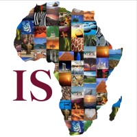 InnSight Advisory Africa logo - Similar company to Felix Studios (Pty) Ltd