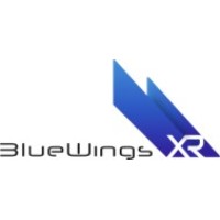 BlueWingsXR logo - Similar company to Ídice