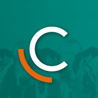 COWEALTHY logo - Similar company to Saykal Electronics