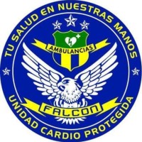Ambulancias Falcon logo - Similar company to Ambulancias Médicos Y Paramédicos Lidermed Plus
