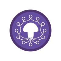 Intercollegiate Psychedelics Network (IPN) logo - Similar company to Webdelics
