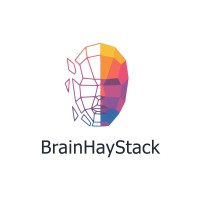 Brainhaystack Web Studio