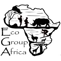 Eco Group Africa logo - Similar company to Eco Africa