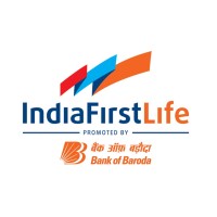 IndiaFirst Life logo - Similar company to Tilteddelta®
