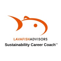 LavaFish Advisors logo - Similar company to Ge Communication Company