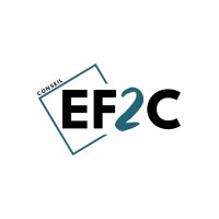 EF2C Consulting logo - Similar company to Nextlevelpc