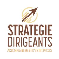Stratégie Dirigeants logo - Similar company to Pascal Bauzin Formation