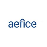 Asociación de Españoles en Instituciones Europeas (AEFICE) logo - Similar company to Clenad International