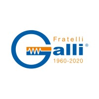 F.LLI GALLI G. & P. logo - Similar company to Digi4Pharma