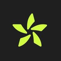 Badger Consulting logo - Similar company to Stybs