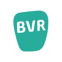 BVR Adviseurs logo - Similar company to Falsework
