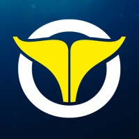 ORCAYA GmbH logo - Similar company to Coda.Tech