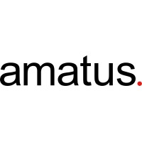 amatus logo - Similar company to Beyond Blocks