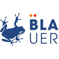 Blauer Consultores logo - Similar company to Fundición Ríos
