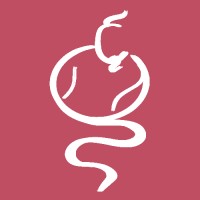 Digital Genie logo - Similar company to Cti Data