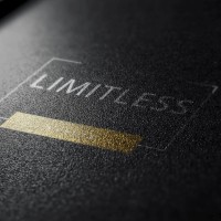 Limitless Sports Deutschland logo - Similar company to Base | Gesundheitsmanagement