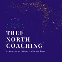 True North Professional Developement logo - Similar company to Interactualizer