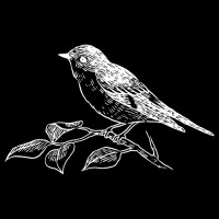 Early Bird Jobs logo - Similar company to Mingle Ai