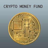 Crypto Money Fund logo - Similar company to Crypto Brokers