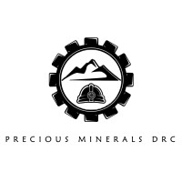 precious mining drc logo - Similar company to Bdm Mining Services