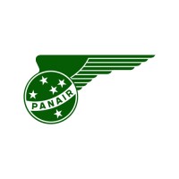 Panair do Brasil logo - Similar company to Onlinetis.Com