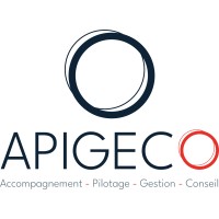 APIGECO logo - Similar company to Sonet Studio