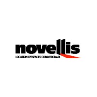Novellis logo - Similar company to Novelis Do Brasil Ltda.