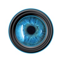 Studio Scuttles logo - Similar company to Cyroweb Solutions