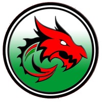 Dodgeball Cymru | Wales Dragons: National Dodgeball Team logo - Similar company to Toronto Dodgeball