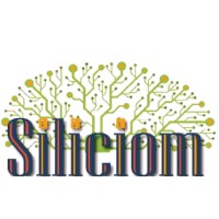 Siliciom Technologies Pvt Ltd logo - Similar company to Silicon Technologies