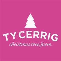TY CERRIG CHRISTMAS TREE FARM LIMITED logo - Similar company to Aminoa Ltd