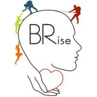 BRise HR Consultancy logo - Similar company to Feenx