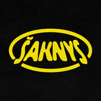 Šaknys logo - Similar company to Dataistic
