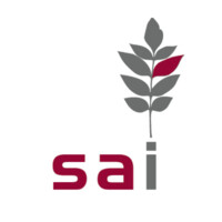SAI Strategy Analysis International logo - Similar company to Ensemble(S)