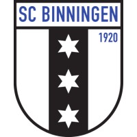 SC Binningen logo - Similar company to Mathys Informatik Ag