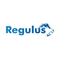 Regulus Investments & Financial Services Ghana Limited logo - Similar company to Brassica Pay Gh