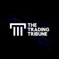 The Trading Tribune logo - Similar company to Fractal Trading