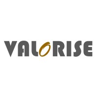 VALORISE SARL logo - Similar company to Iktis Group