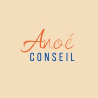 Anoé Conseil logo - Similar company to Valtao, Conseil Et Coaching En Management De Transformation