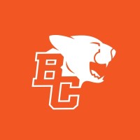 BC Lions Football logo - Similar company to Blonyx