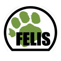 Felis Creations logo - Similar company to Ithoughtplan