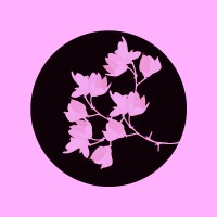 Pink Paragon logo - Similar company to Cambridge Technology Development