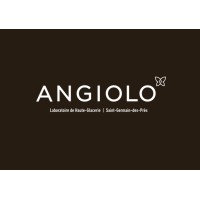 ANGIOLO logo - Similar company to Eiver Corp